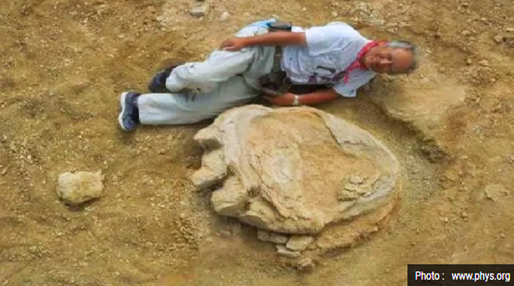 Tyrannosaurus Rex mati tragis