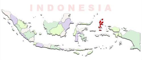 North Maluku Locator image: North Maluku Locator