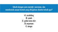 teknik modeling