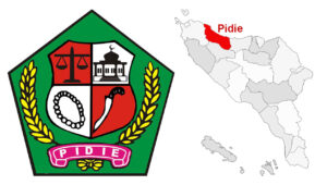lambang dan letak Kabupaten Pidie