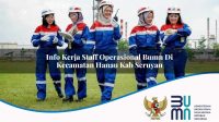 info kerja staff operasional bumn di kecamatan hanau kab seruyan 1753184250