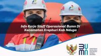 info kerja staff operasional bumn di kecamatan krepkuri kab nduga 1753907131