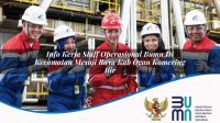 info kerja staff operasional bumn di kecamatan mesuji raya kab ogan komering ilir 1753417411