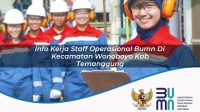 info kerja staff operasional bumn di kecamatan wonoboyo kab temanggung 1753852833