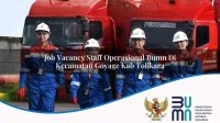 job vacancy staff operasional bumn di kecamatan goyage kab tolikara 1753180391