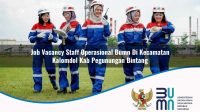 job vacancy staff operasional bumn di kecamatan kalomdol kab pegunungan bintang 1753619129
