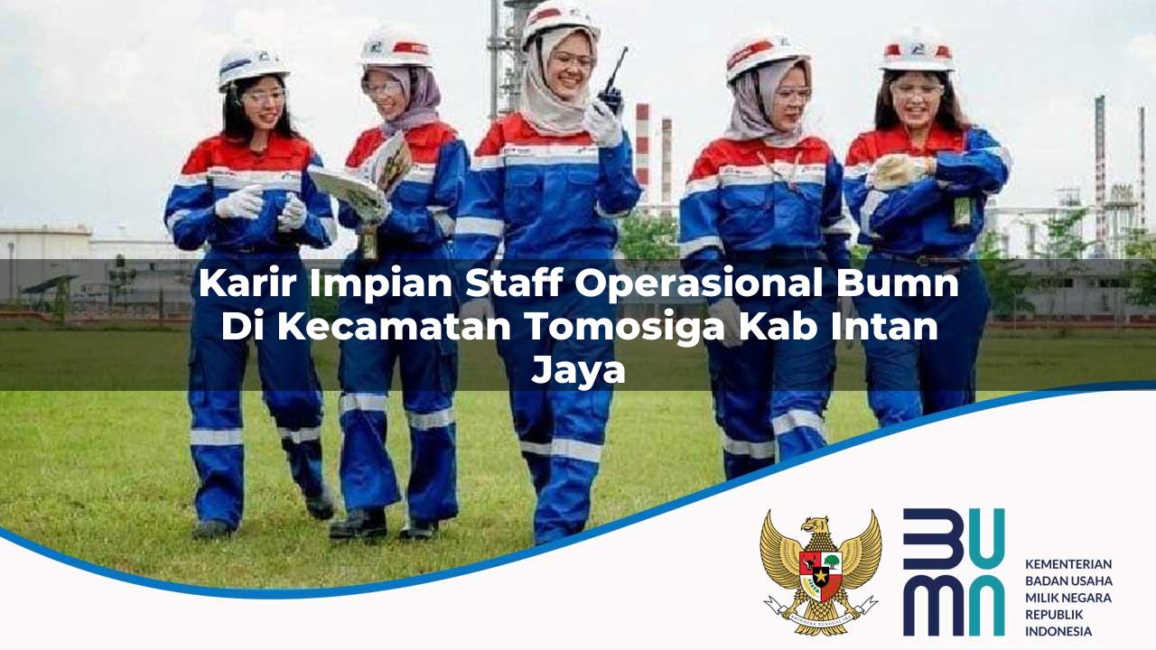 Karir Impian Staff Operasional BUMN di Kecamatan Tomosiga, Kab. Intan Jaya
