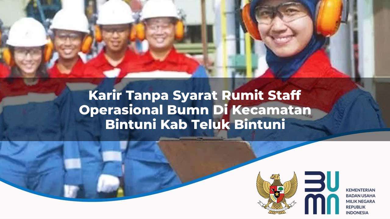 karir tanpa syarat rumit staff operasional bumn di kecamatan bintuni kab teluk bintuni 1753653606
