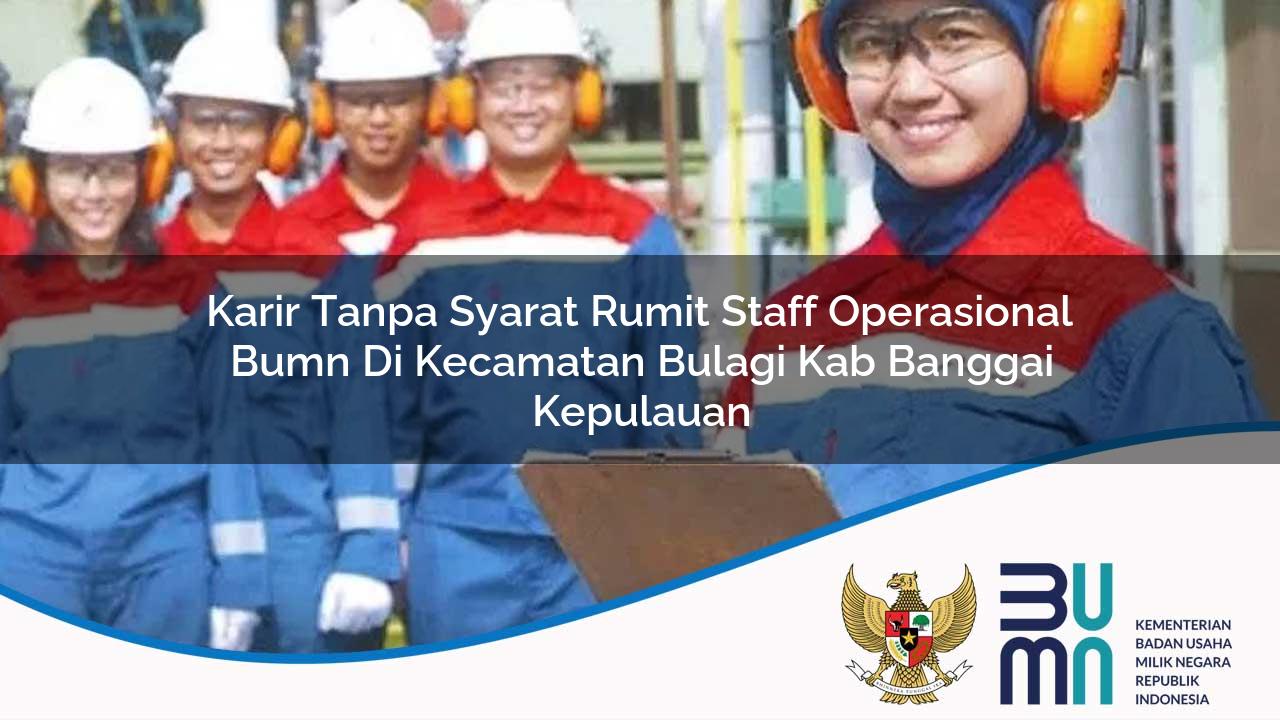 Karir Tanpa Syarat Rumit Staff Operasional BUMN di Kecamatan Bulagi, Kab. Banggai Kepulauan