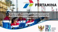 karir tanpa syarat rumit staff operasional bumn di kecamatan lamaknen selatan kab belu 1753530652