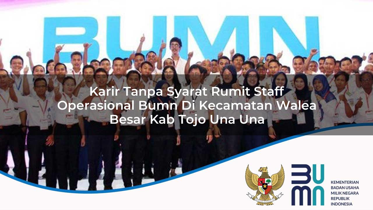 Karir Tanpa Syarat Rumit Staff Operasional BUMN di Kecamatan Walea Besar, Kab. Tojo Una Una