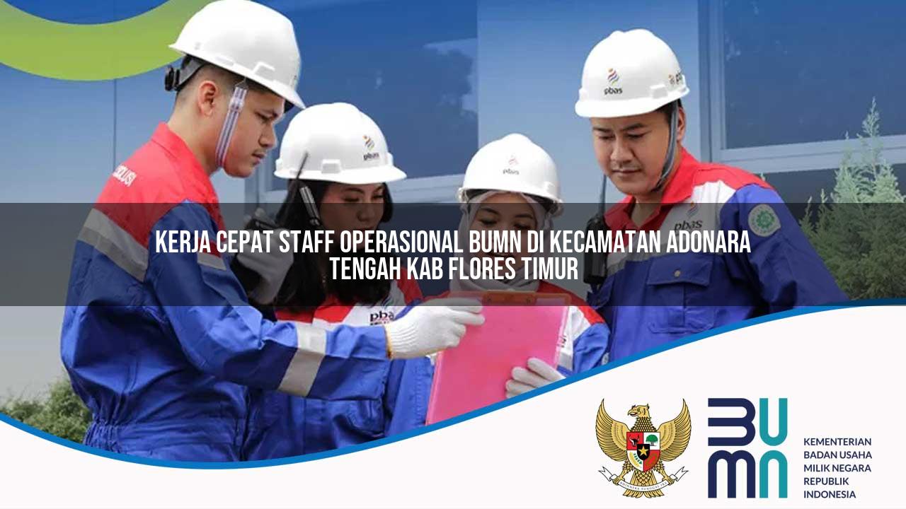 Kerja Cepat Staff Operasional BUMN di Kecamatan Adonara Tengah, Kab. Flores Timur