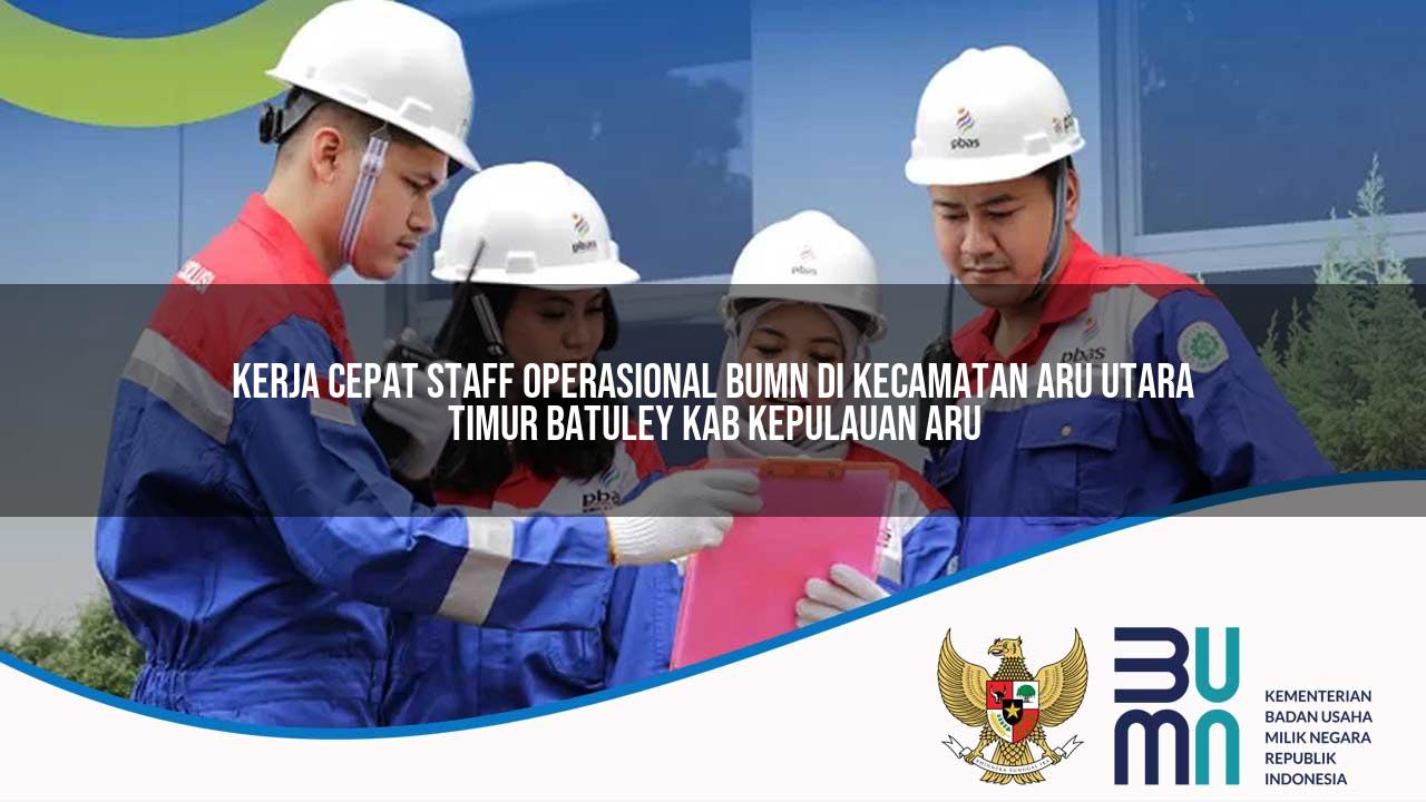 Kerja Cepat Staff Operasional BUMN di Kecamatan Aru Utara Timur Batuley, Kab. Kepulauan Aru