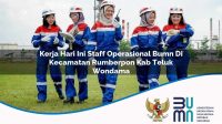 kerja hari ini staff operasional bumn di kecamatan rumberpon kab teluk wondama 1753172189