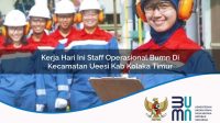 kerja hari ini staff operasional bumn di kecamatan ueesi kab kolaka timur 1753801058
