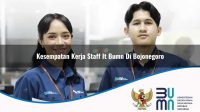 kesempatan kerja staff it bumn di bojonegoro 1752900627