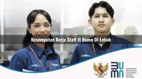 kesempatan kerja staff it bumn di lebak 1752899607