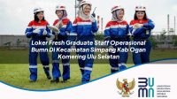 loker fresh graduate staff operasional bumn di kecamatan simpang kab ogan komering ulu selatan 1753278112