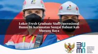 loker fresh graduate staff operasional bumn di kecamatan sungai babuat kab murung raya 1753511391