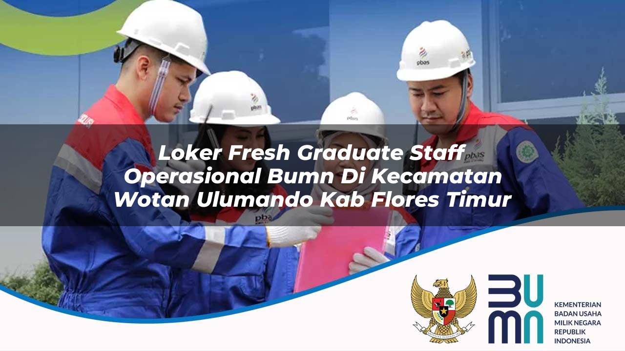 Loker Fresh Graduate Staff Operasional BUMN di Kecamatan Wotan Ulumando, Kab. Flores Timur