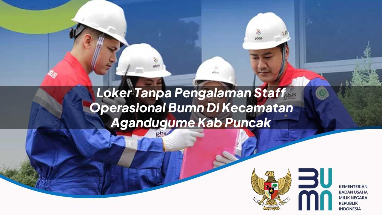 Loker Tanpa Pengalaman Staff Operasional BUMN di Kecamatan Agandugume, Kab. Puncak