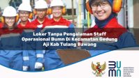 loker tanpa pengalaman staff operasional bumn di kecamatan gedung aji kab tulang bawang 1753169428