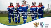 loker tanpa pengalaman staff operasional bumn di kecamatan hingk kab pegunungan arfak 1753854823