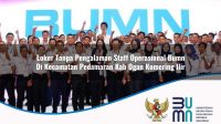 loker tanpa pengalaman staff operasional bumn di kecamatan pedamaran kab ogan komering ilir 1753378052