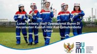 loker terbaru staff operasional bumn di kecamatan kualuh hilir kab labuhanbatu utara 1753609252