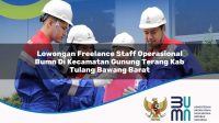 lowongan freelance staff operasional bumn di kecamatan gunung terang kab tulang bawang barat 1753679131