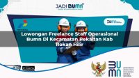 lowongan freelance staff operasional bumn di kecamatan pekaitan kab rokan hilir 1753429306