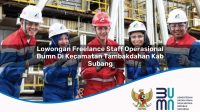 lowongan freelance staff operasional bumn di kecamatan tambakdahan kab subang 1753381190