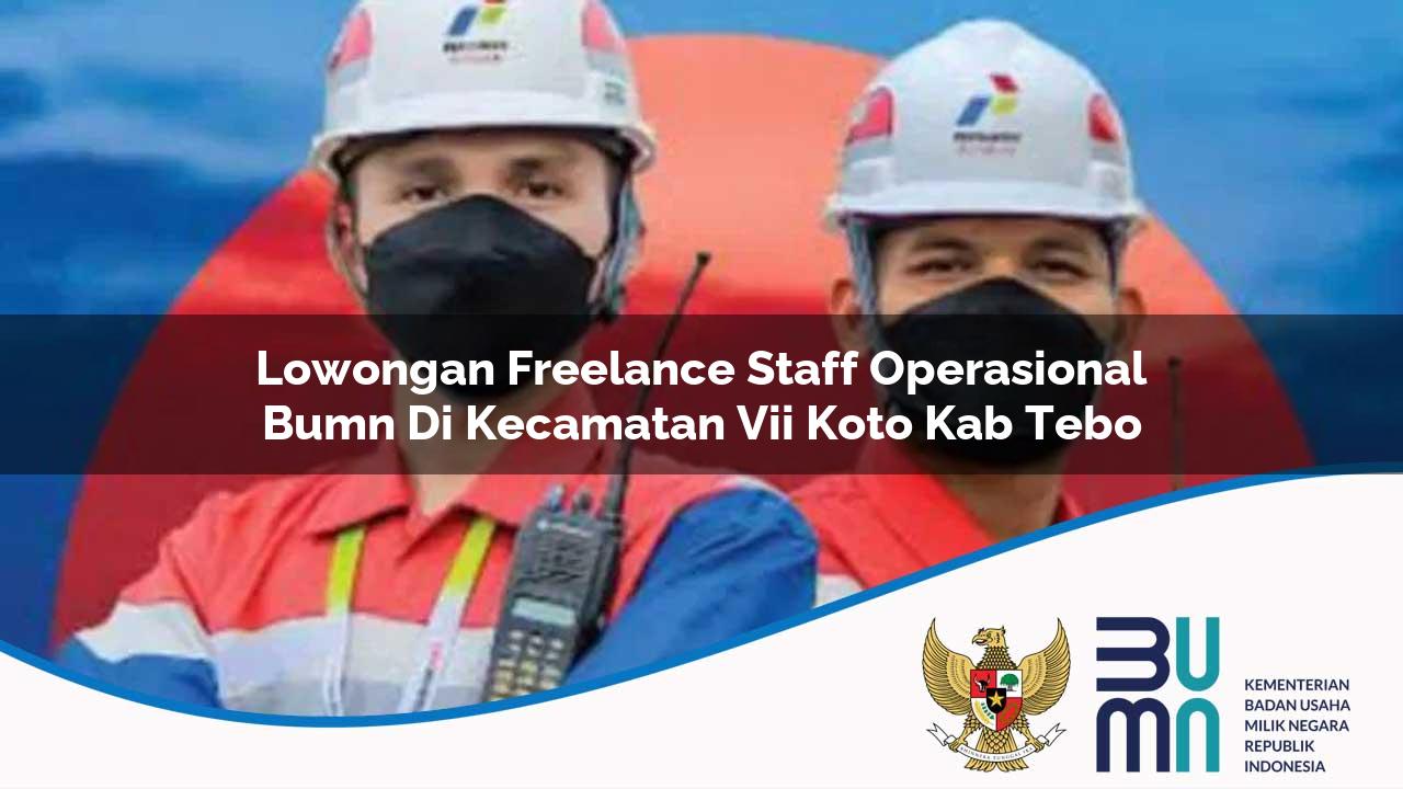 Lowongan Freelance Staff Operasional BUMN di Kecamatan Vii Koto, Kab. Tebo