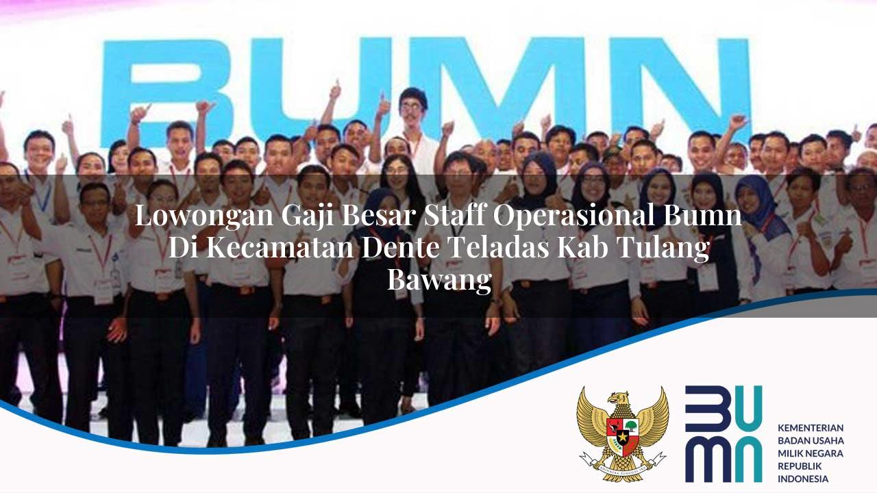 Lowongan Gaji Besar Staff Operasional BUMN di Kecamatan Dente Teladas, Kab. Tulang Bawang