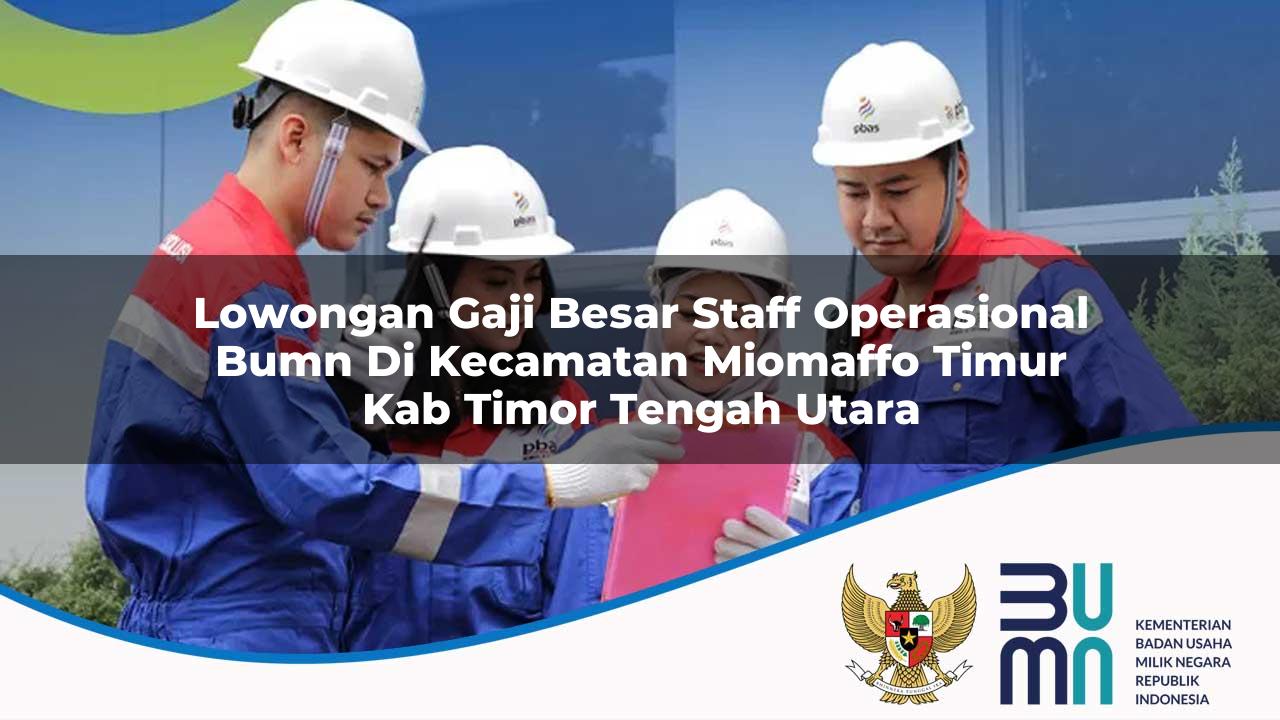 Lowongan Gaji Besar Staff Operasional BUMN di Kecamatan Miomaffo Timur, Kab. Timor Tengah Utara