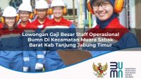 lowongan gaji besar staff operasional bumn di kecamatan muara sabak barat kab tanjung jabung timur 1753519529