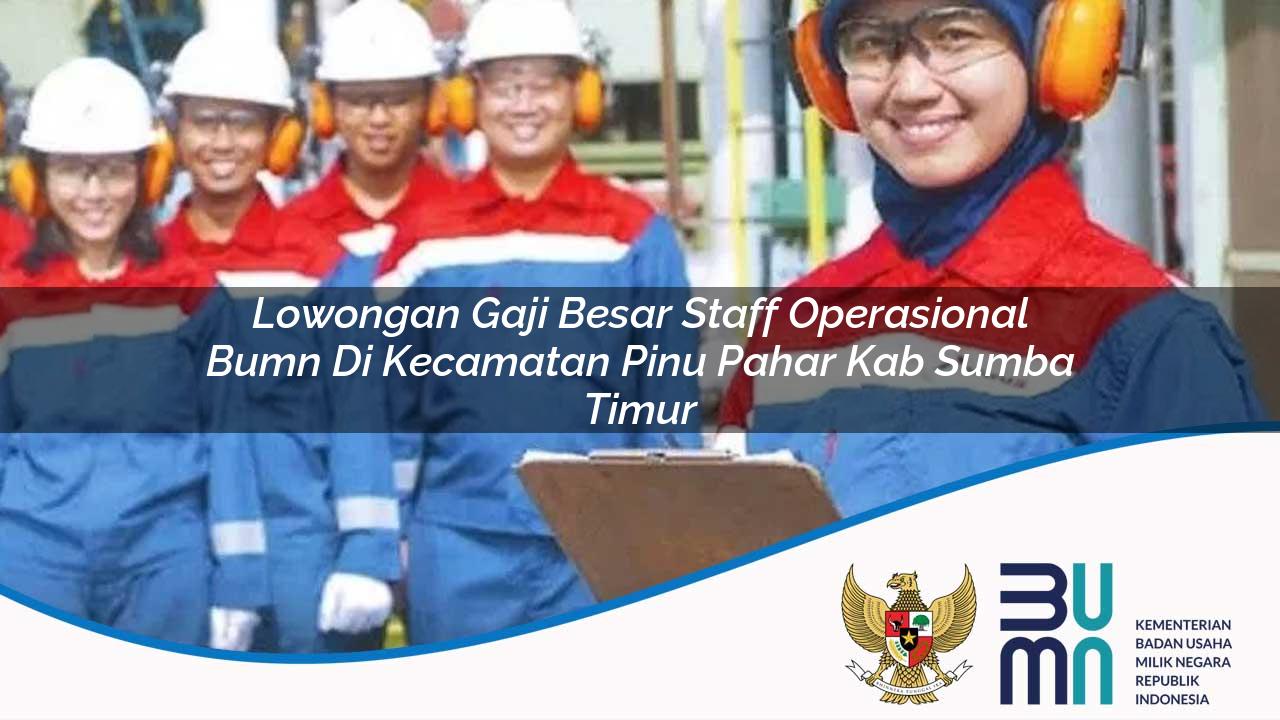 Lowongan Gaji Besar Staff Operasional BUMN di Kecamatan Pinu Pahar, Kab. Sumba Timur
