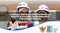 lowongan gaji besar staff operasional bumn di kecamatan serambakon kab pegunungan bintang 1753493857