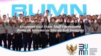 lowongan gaji besar staff operasional bumn di kecamatan sirenja kab donggala 1753277196