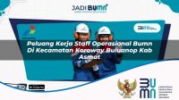 peluang kerja staff operasional bumn di kecamatan koroway buluanop kab asmat 1753334527