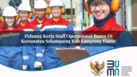 peluang kerja staff operasional bumn di kecamatan sekampung kab lampung timur 1753488151