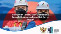 rekrutmen terbaru staff operasional bumn di kecamatan subur kab boven digoel 1753642305