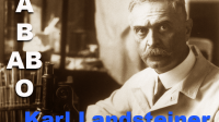 Biografi Karl Landsteiner sang penemu golongan darah
