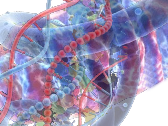 Manusia modern bukanlah keturunan manusia purba