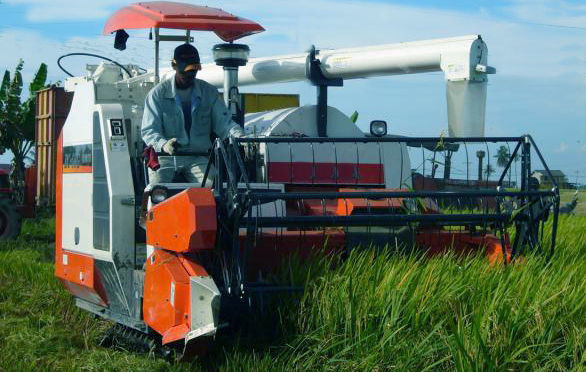 Dampak positif dan negatif revolusi hijau di Indonesia