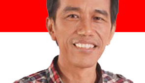 H. Ir. Joko Widodo Jokowi