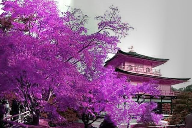 Iklim di negara Jepang