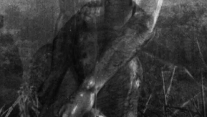 Meganthropus