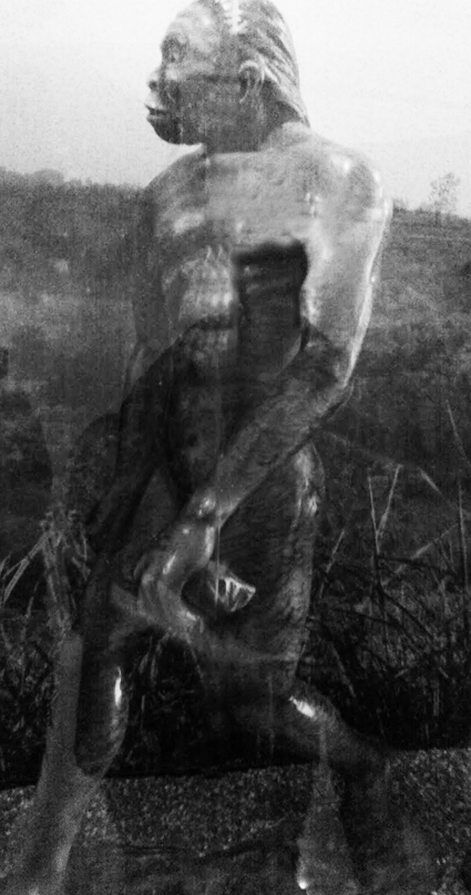 Tempat penemuan Meganthropus