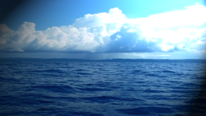 Pelestarian alam laut Indon